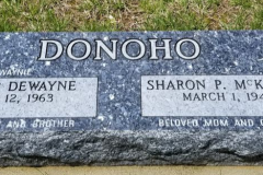 Bevel-Companion-Blue-Pearl