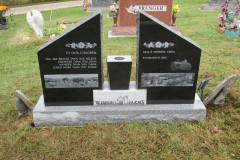 Back and Grey winged upright