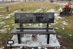 Jet black bench